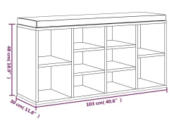 vidaxl Móvel De Arrumação|Sapateira*Banco sapateira 103x30x48 cm derivados de madeira Preto