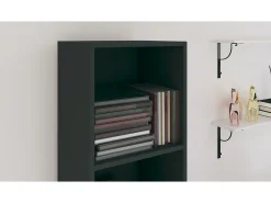 vidaxl Vitrina*Estante/móvel de TV 36x30x143 cm derivados de madeira Preto
