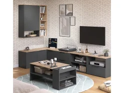 Vicco Móvel De Tv*Lowboard antracite/sonoma 60x40x50 wido Cinza antracite