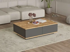 Sale Mesa de centro com 2 portas - Natural Claro e Antracite - LOTULA Mesa De Centro