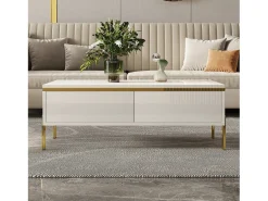 Hot Mesa de centro envernizada brilhante 100x50x36 cm - 2 gavetas - Pés de metal - Painéis de partículas - Mesa De Centro