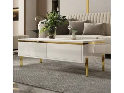 Hot Mesa de centro envernizada brilhante 100x50x36 cm - 2 gavetas - Pés de metal - Painéis de partículas - Mesa De Centro