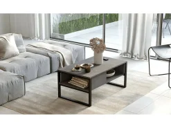 Mesa de estar Dfranzos, Mesa de café, Suporte de revistas para sofá, Prateleira para sala de estar, 100x60h44 cm, Prata*Dmora Hot
