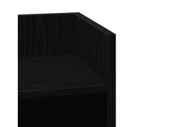 vidaxl Mesa De Apoio*Mesas laterais 2 pcs com prateleira 110x50x103 cm preta Preto