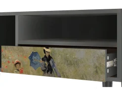 Best Mueble de TV - 115х59х48 cm - T3 - The Poppy Field , Antracite Móvel De Tv