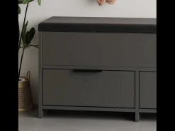 Concept-Usine Móvel De Arrumação|Sapateira*Móvel para Sapatos Antracite 4 Arrumações Preto