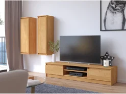 Móvel para TV Amieiro 160 cm com 2 Portas e 2 Prateleiras - Design Moderno e Elegante^Akord Outlet