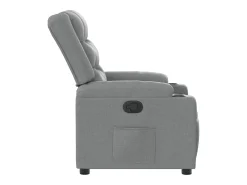 vidaxl Poltrona*Poltrona reclinável tecido cinzento-claro Cinzento claro
