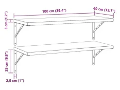 Prateleiras de parede 2 pcs 100x40 cm aço inoxidável*vidaxl Clearance