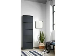 Sapateira Dandracchi, Sapateira de metal,Armário de entrada multiuso,Armário para calçado, 50x15h172 cm,^Dmora Sale