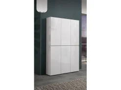 Sapateira Ddomingue, Sapateira, Guarda-roupa da ingResso multiuso, Armário para calçado, Made in Italy, 122x34h200 cm, brilhante*Dmora Sale