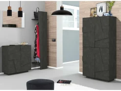 Sapateira Dfogl, Armário multiuso com 2 portas, Sapateira de entrada, 100% Fabricado na Itália, 81x38h86 cm, Ardósia com detalhe Móvel De Arrumação|Sapateira
