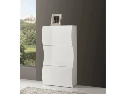 Sapateira Dgan, Armário multiuso com 3 portas, Sapateira de entrada, 100% Fabricado na Itália, 71x27h122 cm, brilhante^Dmora Best