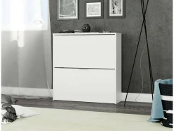 Sapateira Dighina, Sapateira com 2 portas dobráveis, Sapateira de entrada baixa, Armário baixo, 75x22h76 cm,^Dmora