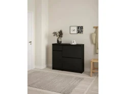 Sapateira Dtrainin, Sapateira, Armário de entrada multiusos, Sapateira, 109x32 h93 cm,^Dmora Hot