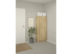 Sapateira Dtrebb, Sapateira, Armário de entrada multiusos, Sapateira, 69x35 h170 cm, Carvalho^Dmora Hot