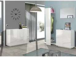 Sapateira Joel, Armário multiuso com 2 portas, Sapateira de entrada, 100% Fabricado na Itália, 81x38h86 cm, brilhante com detalhe*Dmora Sale