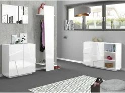 Sapateira Joel, Armário multiuso com 2 portas, Sapateira de entrada, 100% Fabricado na Itália, 81x38h86 cm, brilhante com detalhe*Dmora Sale