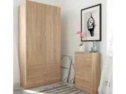 Sapateira Valdosta, Sapateira economizadora de espaço com 2 portas, Sapateira de entrada, Armário sapateira, 50x22h76 cm, Carvalho*Dmora Discount