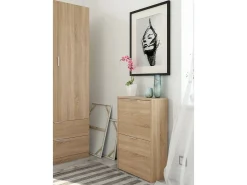 Sapateira Valdosta, Sapateira economizadora de espaço com 2 portas, Sapateira de entrada, Armário sapateira, 50x22h76 cm, Carvalho*Dmora Discount