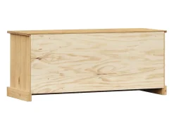 vidaxl Móvel De Arrumação|Sapateira*Sapateira VIGO 106x35x45 cm madeira de pinho maciça Castanho