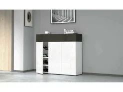 ScarpIera Dcanestrell, Suporte para sapatos com economia de espaço com 4 portas, Armário de entrada multifuncional, 114x38h100 cm, Branco e Ardósia*Dmora Hot