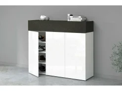 ScarpIera Dcanestrell, Suporte para sapatos com economia de espaço com 4 portas, Armário de entrada multifuncional, 114x38h100 cm, Branco e Ardósia*Dmora Hot