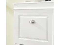 Sobuy Móvel De Arrumação|Sapateira*armário de sapatos, Armário de sapatos estreito, armário para sapatos FSR94-W Branco