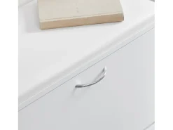 Sobuy Móvel De Arrumação|Sapateira*Armário de sapatos com prateleira, banco, Banco com sapateira FSR16-W Branco