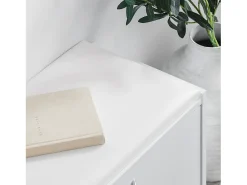 Sobuy Móvel De Arrumação|Sapateira*Armário de sapatos com prateleira, banco, Banco com sapateira FSR16-W Branco