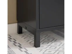 Sobuy Móvel De Arrumação|Sapateira*Armário de sapatos com prateleira, banco, Banco com sapateira FSR151-K-SCH Preto