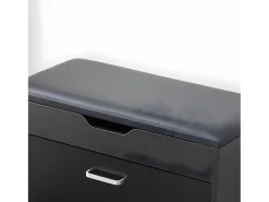 Sobuy Móvel De Arrumação|Sapateira*Armário de sapatos com prateleira, banco, Banco com sapateira FSR95-SCH Preto