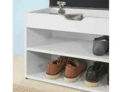 Sobuy Móvel De Arrumação|Sapateira*Armário de sapatos com prateleira, banco, Banco com sapateira FSR25-HG Cinzento