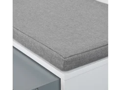 Sobuy Móvel De Arrumação|Sapateira*Armário de sapatos com prateleira, banco, Banco com sapateira FSR37-W Branco