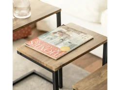 Sobuy Mesa De Centro*borda de apoio, mesa auxiliar, Mesa auxiliar de sofá FBT102-F Natural escuro