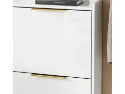 Sapateira 4 Portas Branca com Design Nórdico e Puxadores Dourados*Sobuy Clearance
