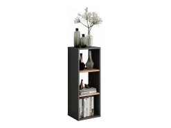 Vicco Prateleira*Standregal carvalho antracite/goldkraft 30x24x80.1 orlando Cinza antracite