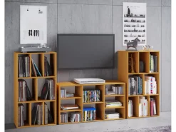 Wooden Record Shelf | Divisor de Sala | Dimensões A. 120 x L. 60 x P. 40 cm | Prateleira de Mídia - Schalino (Beech)*VCM Outlet