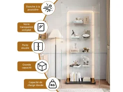Vitrine de vidro com 5 prateleiras e iluminação LED personalizável – Base preta* Online