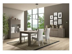 Vitrine design 2 portas coleção FANZY. Cor marrom carvalho escuro.^Meublorama Discount